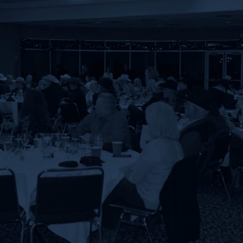 Banquet Individual Seat